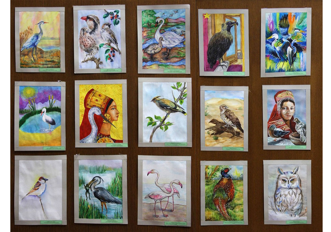 Guşlara bagyşlanan sergi